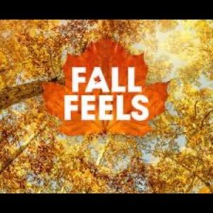 Fall clothes